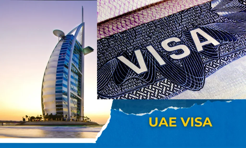 Discover how to apply for the UAE's new 180-day entry visa, the first step toward securing the 10-year Blue Residency for environmental and sustainability professionals.